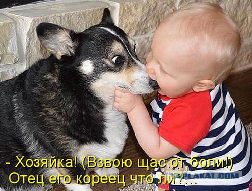 Картинки из ваших интернетов