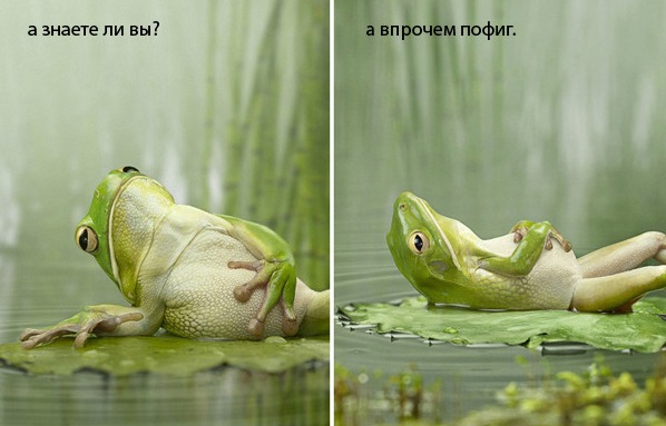 А Вы знали что...