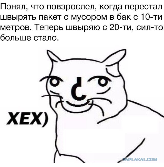 Смешные комментарии из социальных сетей 10.02.2017