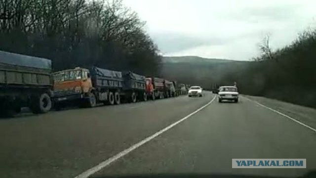 Надолго ли хватит леса в Сибири