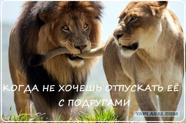 Когда она, та самая