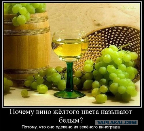 Генератор рекламных слоганов