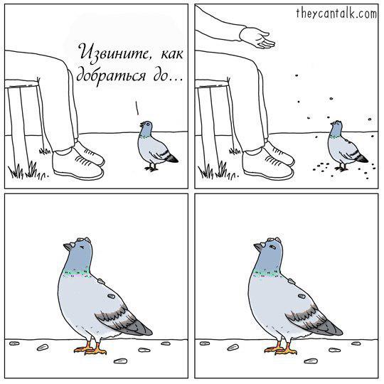 Нестандартный юмор