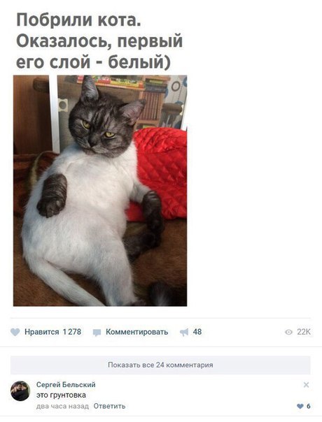 А вот и деградация подоспела. Ура, товарищи!