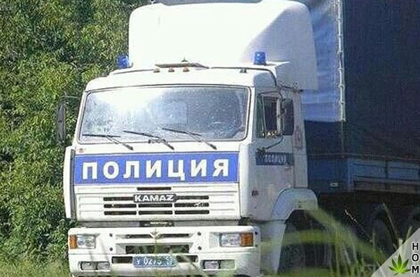 WTF: что тут происходит?