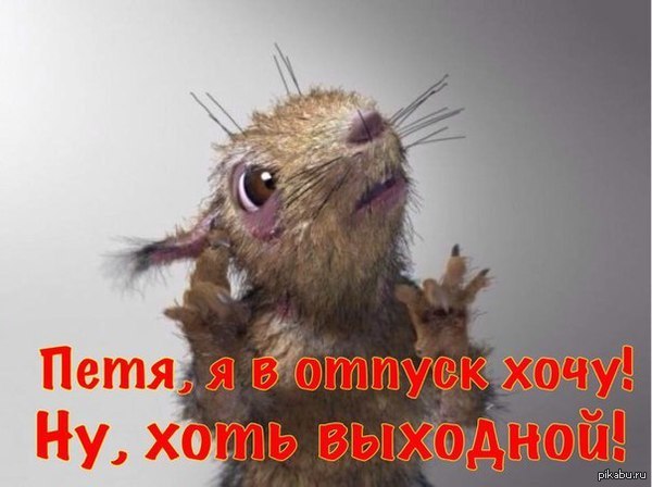 На Украине начались президентские выборы
