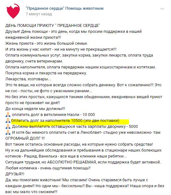 Помогите вернуть кота! Приют "Преданное сердце" украл кота и не отдает!-2