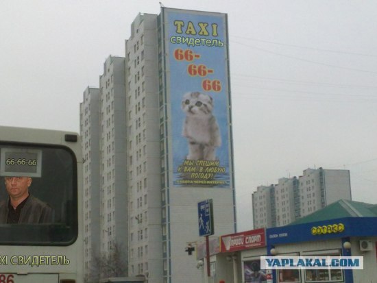 Позитивная реклама