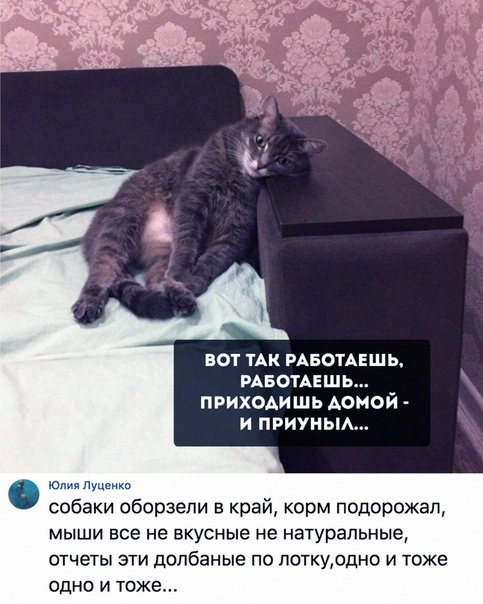 Немного картинок для настроения 17.01.20