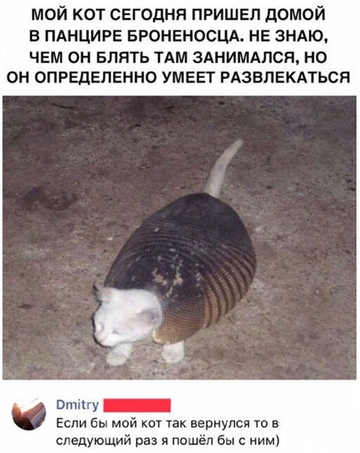 Пара-пара-пам! Фьють. Картинки с надписями.