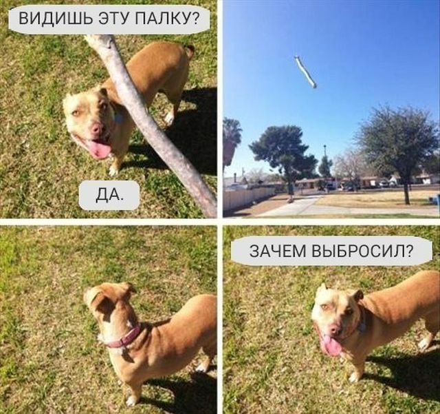 Чуток картинок 1 апреля