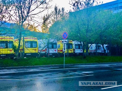Пандемия. Коронавирус. Россия и мир. Последняя информация. Часть 15