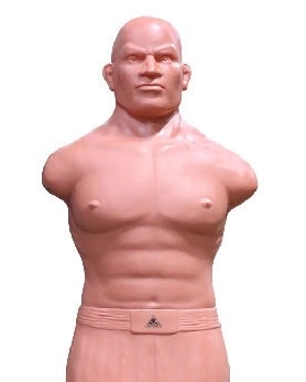 Да я его и пальцем не тронул!