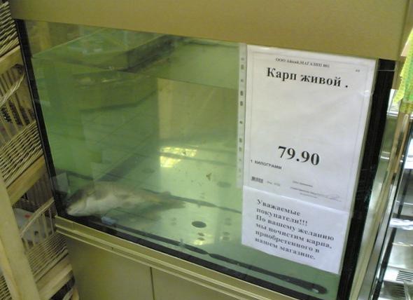 Картинок старых, разных пост