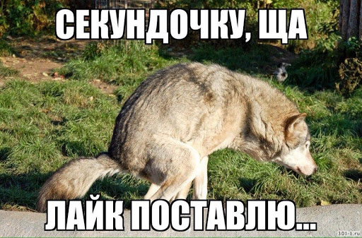 Пёс выразил протест!
