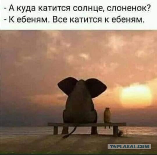 Не очень адекватный юмор