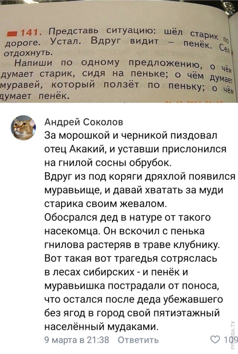 https://s00.yaplakal.com/pics/pics_original/3/5/1/15355153.jpg