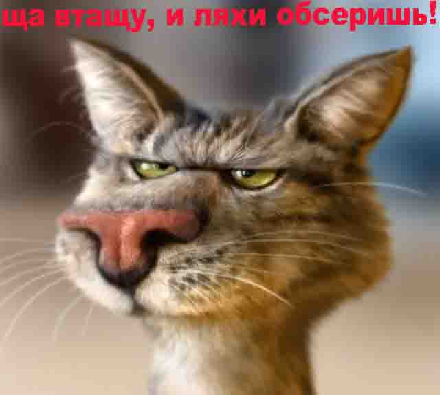 Обиделся и ушел