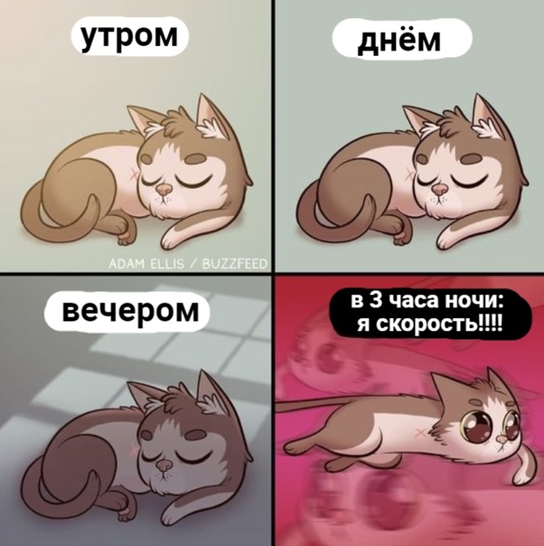 Картинки и мемы для настроения 01.12.2021