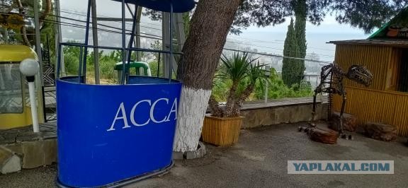В Москве скончался режиссер фильма «Асса» Сергей Соловьев