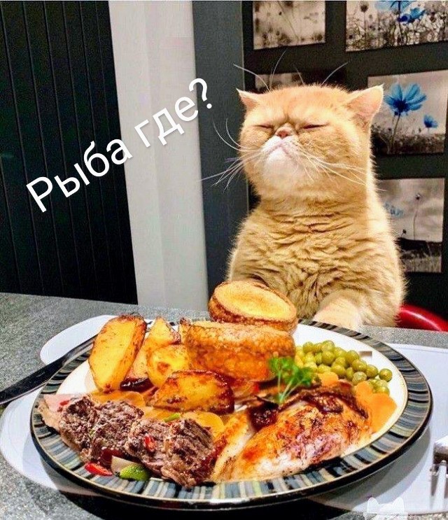 Картинки и мемы для настроения