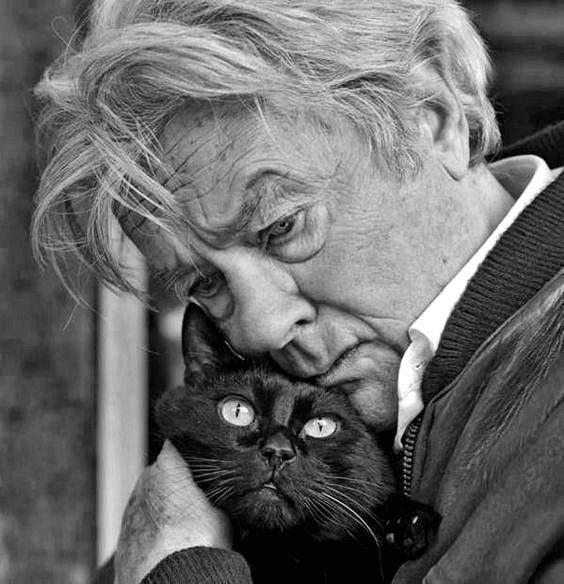 Котовторниковское