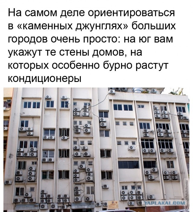 Так себе картинки 24.03.22