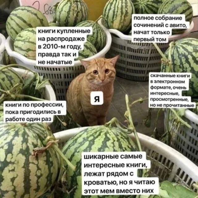 Картинки всякие, развесёлые и не очень. Vol 2.