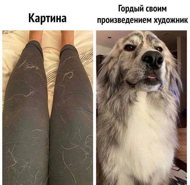 Картинки и мемы для настроения - 133