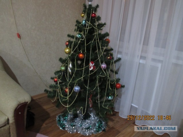 Выкладывайте свои елки!