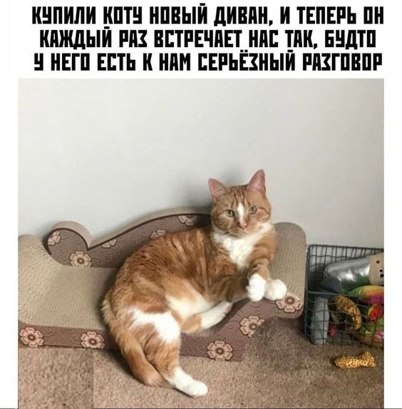 Так себе картинки 22.01.23