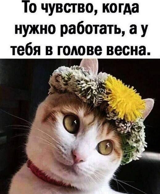 Картинки и мемы, всем хороших выходных