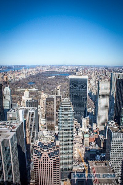 Как я в NYC ездил.