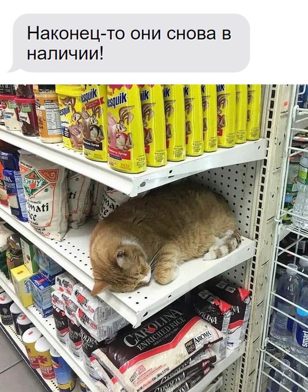 Картинки и мемы для настроения - 167