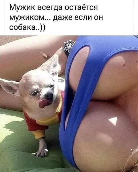 Картинки и мемы, всяко разно - 183