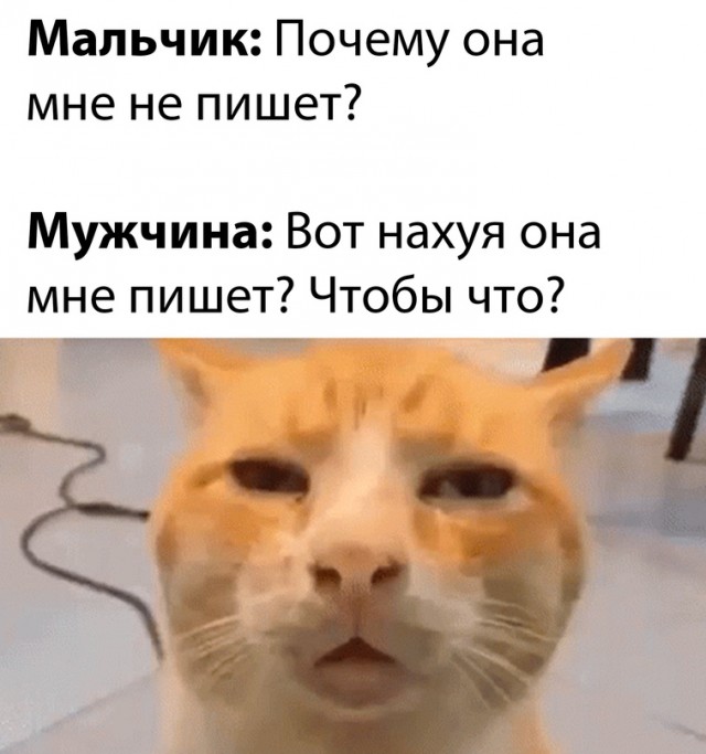 Картинки и мемы для настроения - 187