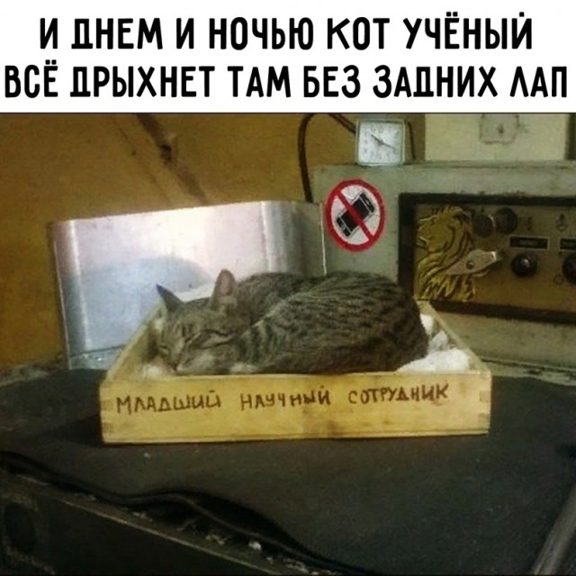 Картинки и мемы, всяко разно - 181