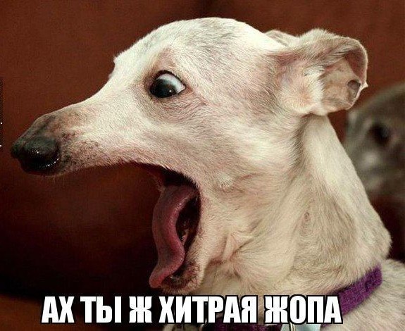 Маскировка осьминога 80-го уровня