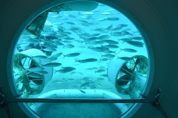 Хочу дачу на канарах!