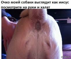 Общественность Волгограда возмутилась тематическим корпоративом сотрудников телеканала "Волгоград 24"