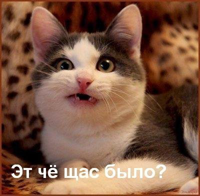 Что это было?