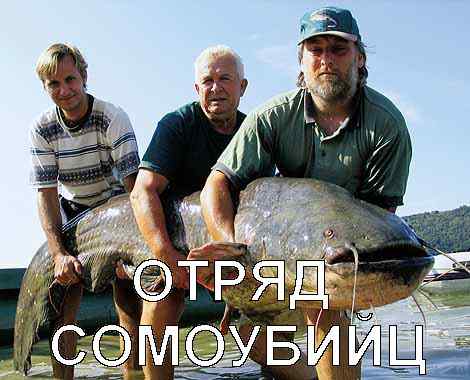 Деградильня