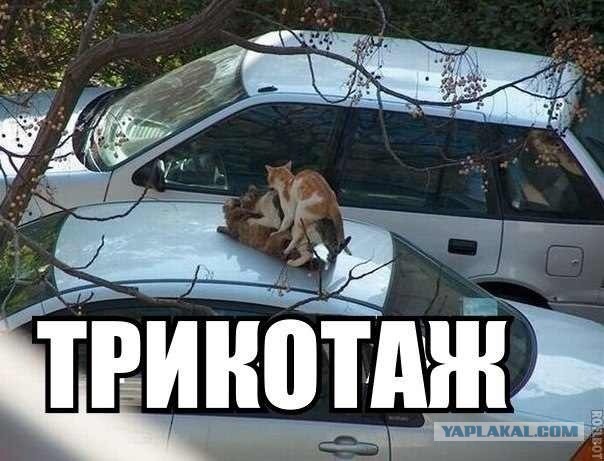 ТриКОТАж