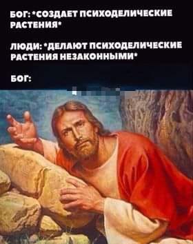 Весёлый полтшок 09.05.24