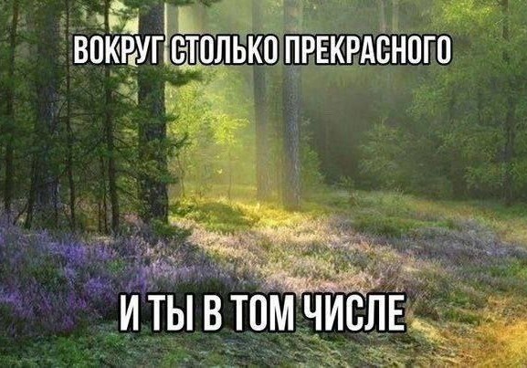 Всего понемногу. От 17.06.2024