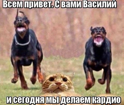 Веселые картинки к пятнице (18.10)