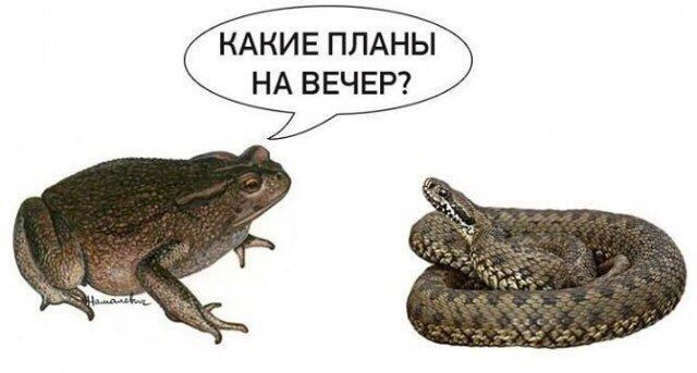 В Москве неизвестный кинул таксиста на деньги.