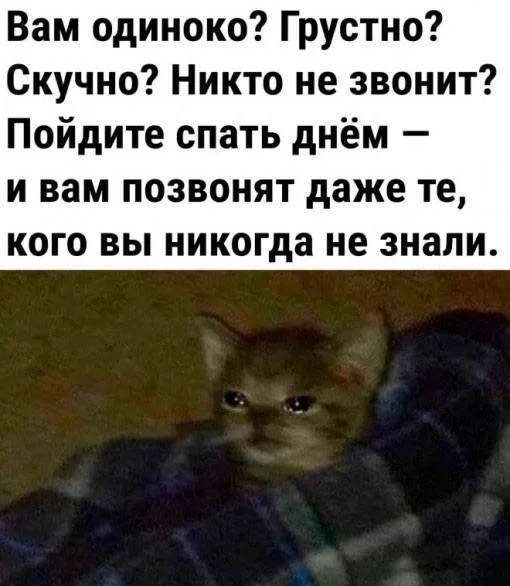 Юмор для тех, кто уже повзрослел и понял, что «гардероб» — это три свитера и джинсы