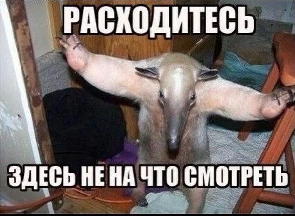На Воробьевых горах снесли единственную сохранившуюся деревянную дачу