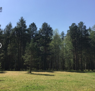 Литболталка